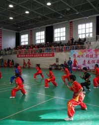  足校建设如火如荼，青少年培养体系完善