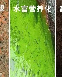  裁判新规实施改变比赛节奏感