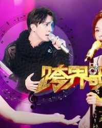  跨界明星组队参赛，娱乐精神与竞技碰撞火花  