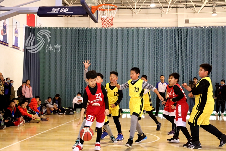  青少年篮球联赛开幕，青春风暴席卷赛场