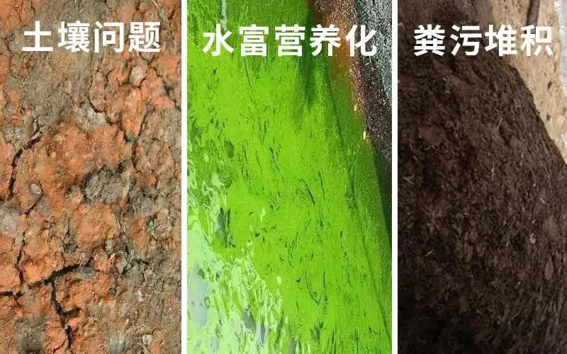  裁判新规实施改变比赛节奏感